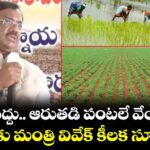 వరి వద్దు.. ఆరుతడి పంటలే వేయాలి..  రైతులకు మంత్రి వివేక్ కీలక సూచనలు
