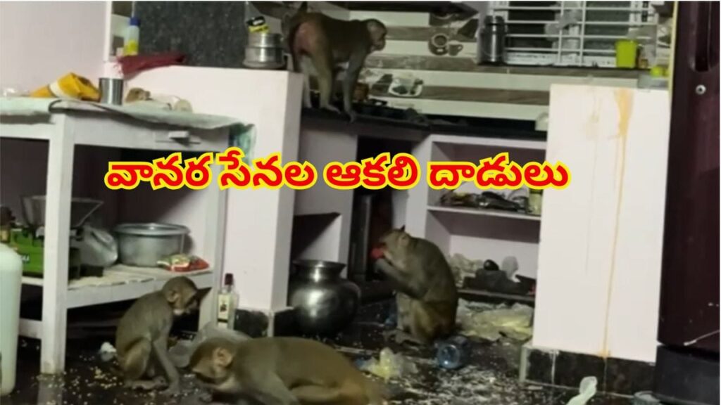 Watch: ఇంట్లో కోతుల కిష్కిందకాండ.. బయట వీధి కుక్కల స్వైర విహారం! నగర జనం బెంబేలు