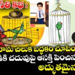 నీతి కథ : రామ చిలుక బద్ధకం చూపించి.. పిల్లోడికి చదువుపై ఆసక్తి పెంచిన అద్బతమైన కథ