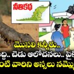నీతికథ : మొసలి కన్నీరు .. కపట బుద్ది..చెడు ఆలోచనలు.. పైకి ఏడుపు.. ఇలాంటి వారిని అస్సలు నమ్మొద్దు..!