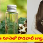 జుట్టు ఎక్కువగా రాలుతుందా..? షాంపులు కాదు.. పూర్వీకులు వాడిన ఈ నూనె వాడితే ఊడిన జుట్టు రావాల్సిందే..