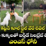 కెప్టెన్ కూల్ స్టైల్ వేరే లెవెల్.. పెంపుడు కుక్కలతో బర్త్‌డే సెలబ్రేట్ చేసుకున్న ఎంఎస్ ధోనీ