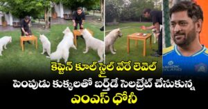 కెప్టెన్ కూల్ స్టైల్ వేరే లెవెల్.. పెంపుడు కుక్కలతో బర్త్‌డే సెలబ్రేట్ చేసుకున్న ఎంఎస్ ధోనీ