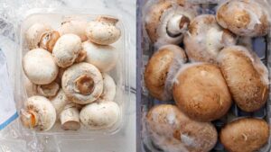 Kitchen Tips : పుట్టగొడుగులు 2 రోజుల్లో పాడవుతున్నాయా? ఈ సీక్రెట్ ట్రిక్‌తో వారాల పాటు ఫ్రెష్.!