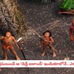 Most Dangerous Island: కాలు పెడితే శవమైపోవాల్సిందే.. ఇండియాకు సొంతమైన ఆ ద్వీపంలో అసలేం జరుగుతోంది?