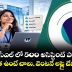 ఎన్ఐసీఎల్ లో 500 అసిస్టెంట్ పోస్టులు.. డిగ్రీ అర్హత ఉంటే చాలు, వెంటనే అప్లై చేసుకోండి!