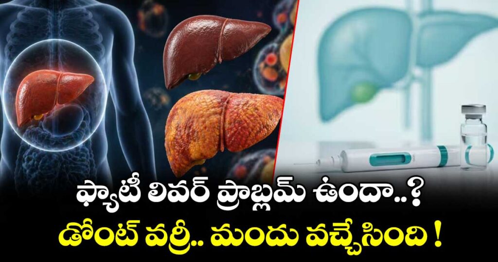 ఫ్యాటీ లివర్⁪ ప్రాబ్లమ్ ఉందా..? డోంట్ వర్రీ.. మందు వచ్చేసింది !