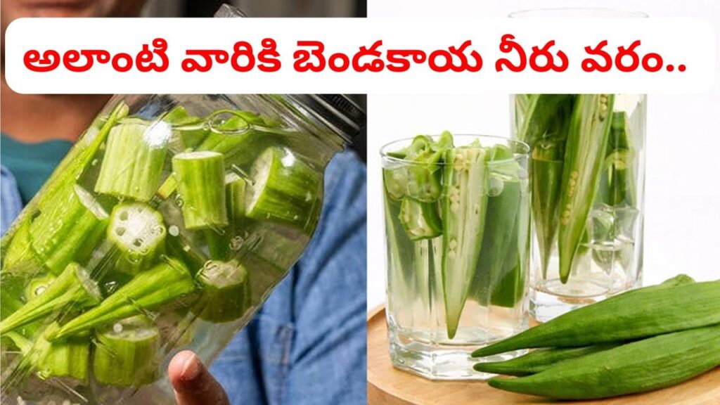 బెండకాయ నీళ్లతో బోలెడన్ని లాభాలు.. ఎముకల బలానికి, బరువు, షుగర్ తగ్గడానికి దివ్యాస్త్రం..