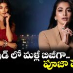 టాలీవుడ్‌‌‌‌ లో మళ్లీ బిజీగా.. పూజా హెగ్డే..
