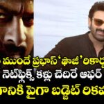 Prabhas: రిలీజ్‌కు ముందే ప్రభాస్ 'ఫౌజీ' రికార్డుల వేట.. నెట్‌ఫ్లిక్స్ కళ్లు చెదిరే ఆఫర్.. సగానికి పైగా బడ్జెట్ రికవరీ!