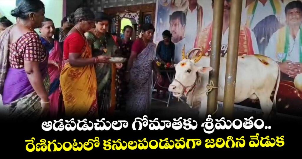 ఆడపడుచులా గోమాతకు శ్రీమంతం..రేణిగుంటలో కనులపండువగా జరిగిన వేడుక