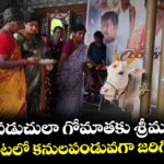ఆడపడుచులా గోమాతకు శ్రీమంతం..రేణిగుంటలో కనులపండువగా జరిగిన వేడుక