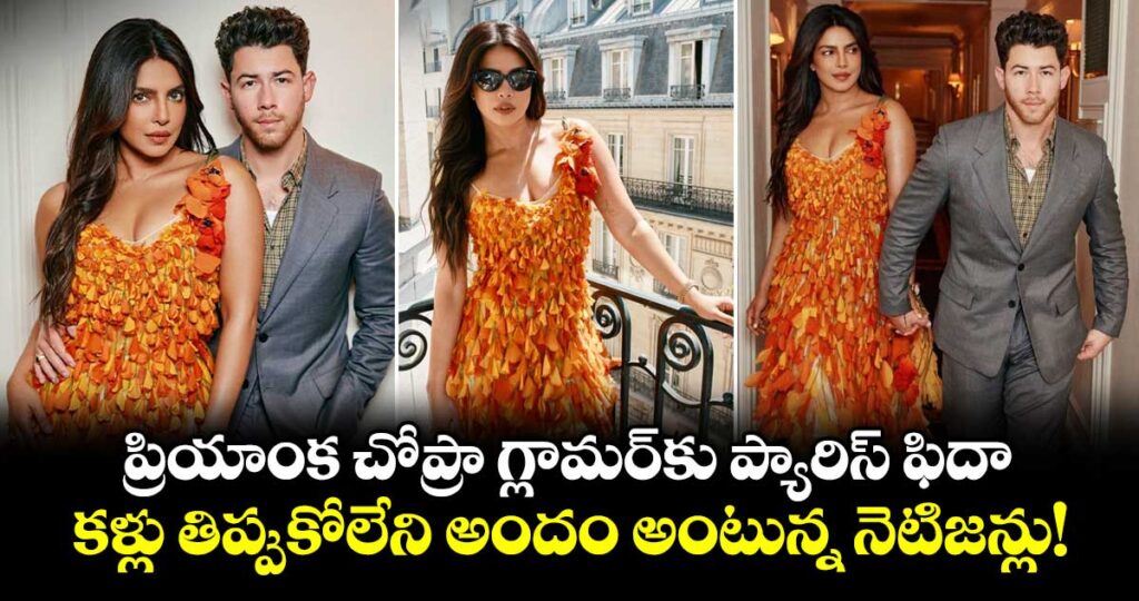 Priyanka Chopra: ప్రియాంక చోప్రా గ్లామర్‌కు ప్యారిస్ ఫిదా.. కళ్లు తిప్పుకోలేని అందం అంటున్న నెటిజన్లు!