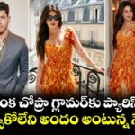 Priyanka Chopra: ప్రియాంక చోప్రా గ్లామర్‌కు ప్యారిస్ ఫిదా.. కళ్లు తిప్పుకోలేని అందం అంటున్న నెటిజన్లు!