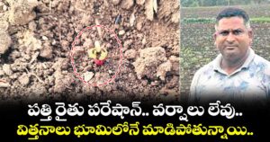 పత్తి రైతు పరేషాన్.. వర్షాలు లేవు.. విత్తనాలు భూమిలోనే మాడిపోతున్నాయి..