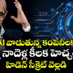 AI వాడుతున్న కంపెనీలకు సత్య నాదెళ్ల కీలక హెచ్చరిక.. హిడెన్ సీక్రెట్ వెల్లడి