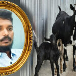 ఎంత దారుణం.. మేకపిల్లల పంచాయతీ యువకుడి ప్రాణం తీసింది! ఏం జరిగిందంటే..