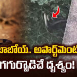 అయ్యబాబోయ్‌.. అపార్ట్‌మెంట్ పక్కన ఒళ్ళు గగుర్పొడిచే దృశ్యం!
