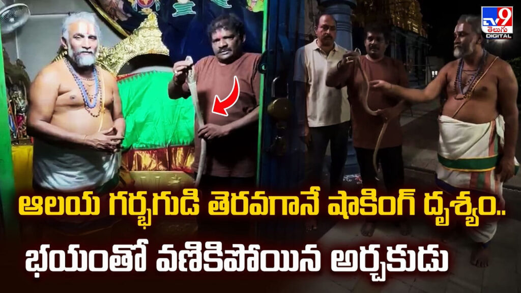 ఆలయ గర్భగుడి తెరవగానే షాకింగ్‌ దృశ్యం.. భయంతో వణికిపోయిన అర్చకుడు