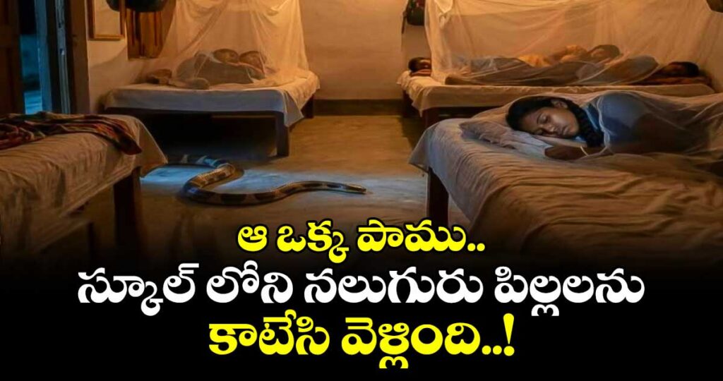 ఆ ఒక్క పాము.. స్కూల్ లోని నలుగురు పిల్లలను కాటేసి వెళ్లింది..!