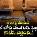 ఆ ఒక్క పాము.. స్కూల్ లోని నలుగురు పిల్లలను కాటేసి వెళ్లింది..!