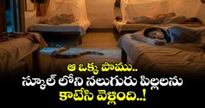 ఆ ఒక్క పాము.. స్కూల్ లోని నలుగురు పిల్లలను కాటేసి వెళ్లింది..!