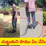 Watch: తిరుమలలో 9 అడుగుల భారీ పాము.. కాలుకు చుట్టుకుని ఏం చేసిందో తెలుసా..? ఇదిగో వీడియో