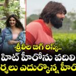 Sreeleela: శ్రీలీల బిగ్ రిస్క్.. హిట్ హీరోను వదిలి విమర్శలు ఎదుర్కొన్న హీరోతో!