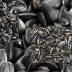 ఈ పవర్ఫుల్ గింజలు ఒక్క స్పూన్ తింటే బాడీలో సత్తువ డబుల్.. చికెన్, మటన్ కంటే 2 రెట్లు ఎక్కువ..