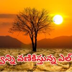 El Nino 2026: భారత్‌ను భయపెడుతున్న ఎల్ నినో.. చరిత్రలో ఎన్నడూ లేని కరువు రానుందా?