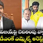 సీఎం విజయ్పై బెదిరింపు వ్యాఖ్యలు డీఎంకే ఎమ్మెల్యే అరెస్ట్