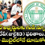 TG TET : టెట్ అభ్యర్థులకు గుడ్ న్యూస్.. రేపే(జులై13)  ఫలితాలు.. ఇలా మొబైల్‌లోనే చూసుకోండి.!