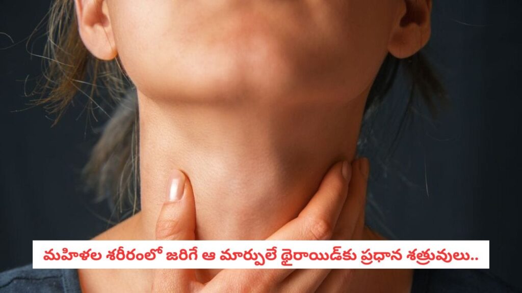 Hormonal Balance: మహిళల శరీరంలో జరిగే ఆ మార్పులే థైరాయిడ్‌కు ప్రధాన శత్రువులు.. నిపుణులు హెచ్చరిస్తున్న షాకింగ్ హెల్త్ రిపోర్ట్!
