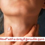 Hormonal Balance: మహిళల శరీరంలో జరిగే ఆ మార్పులే థైరాయిడ్‌కు ప్రధాన శత్రువులు.. నిపుణులు హెచ్చరిస్తున్న షాకింగ్ హెల్త్ రిపోర్ట్!