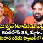 Meher Ramesh: మొన్ననే కూతురు పెళ్లి.. ఇంతలోనే అక్క మృతి.. డైరెక్టర్ మెహర్ రమేష్ ఫ్యామిలీలో విషాదం