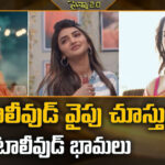 టాలీవుడ్‌లో బ్రేక్.. బాలీవుడ్‌లో బిజీ! నార్త్‌లో సత్తా చాటుతున్న సౌత్ బ్యూటీస్