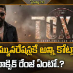 Toxic: రెమ్యునరేషన్లకే అన్ని కోట్లా.. టాక్సిక్ రేంజ్ ఏంటో..?