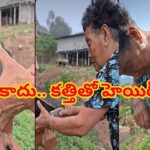 ఓరీ దేవుడో.. ఈ బామ్మ క్షవర కళకు దండం పెట్టాల్సిందే..! కత్తితో హెయిర్‌కట్..