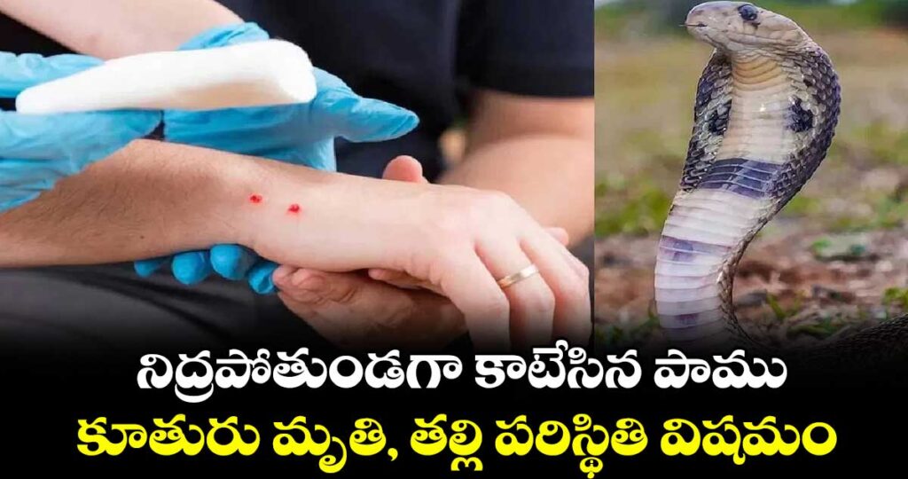 నిద్రపోతుండగా  కాటేసిన పాము.. కూతురు మృతి, తల్లి పరిస్థితి విషమం