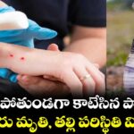 నిద్రపోతుండగా  కాటేసిన పాము.. కూతురు మృతి, తల్లి పరిస్థితి విషమం