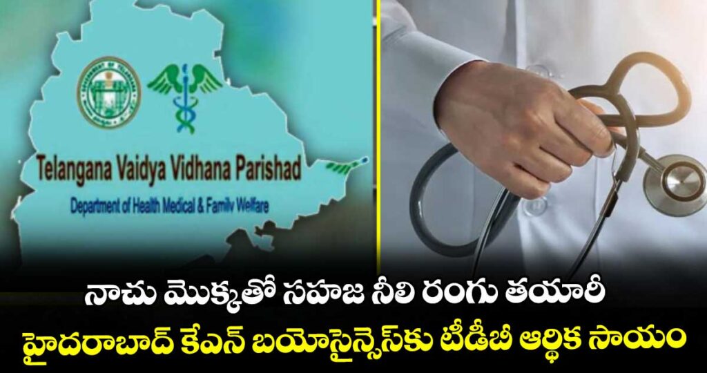 టీవీవీపీ డాక్టర్ల రీడిప్లాయ్‌మెంట్  షెడ్యూల్ విడుదల...ఇవాళ  వెబ్ ఆప్షన్లు.. జులై 20న పోస్టింగ్ ఆర్డర్లు