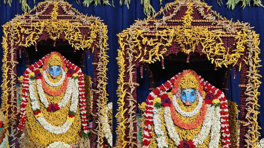 చూడనీకి రెండు కళ్లు చాలవు.. పసుపు కొమ్ముల రూపంలో దర్శనమిచ్చిన జగజ్జనని