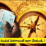 Vastu Tips: ఆర్థిక సమస్యలు ఎదుర్కొంటున్నారా? వాస్తు చెప్పే ఈ 5 చిట్కాలు పాటించండి