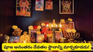 Vastu: పూజా మందిరంలో ఈ వాస్తు తప్పులు చేస్తున్నారా? దేవతల విగ్రహాల విషయంలో తప్పక తెలుసుకోవాల్సిన నియమాలు