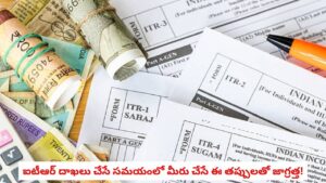 Income Tax Relief:​ఐటీఆర్ రిటర్న్ లో ఉద్యోగి చేసిన పొరపాటు.. కోర్టు షాకింగ్ తీర్పు