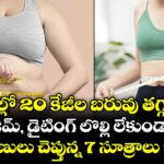 3 నెలల్లో 20 కేజీల బరువు తగ్గాలా ? జిమ్‌, డైటింగ్ లొల్లి లేకుండా నిపుణులు చెప్తున్న 7 సూత్రాలు ఇవే!