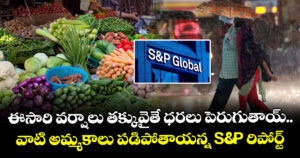 ఈసారి వర్షాలు తక్కువైతే ధరలు పెరుగుతాయ్.. వాటి అమ్మకాలు పడిపోతాయన్న S&P రిపోర్ట్
