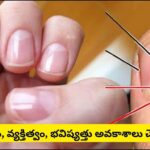 గోళ్లపై కనిపించే తెల్లటి నెలవంక ఏం సూచిస్తుంది? ఏ వేలిపై ఉంటే ఎలాంటి అదృష్టం కలుగుతుందో తెలుసా!