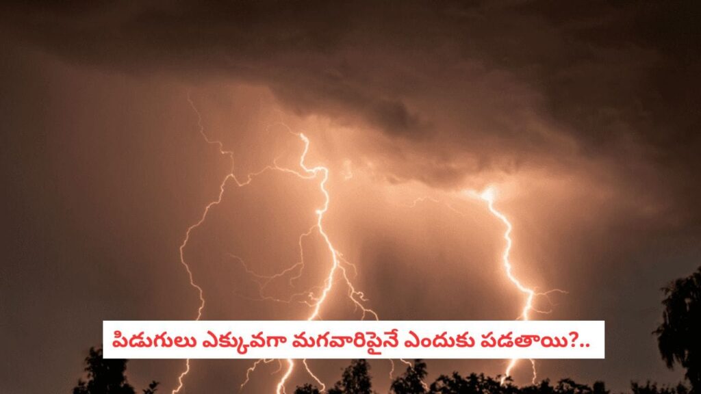 Thunderbolt Logic: పిడుగులు ఎక్కువగా మగవారిపైనే  ఎందుకు పడతాయి?.. 80% పురుషులే టార్గెట్ అవ్వడం వెనుక కారణమిదే..
