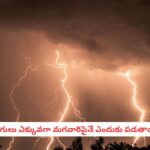 Thunderbolt Logic: పిడుగులు ఎక్కువగా మగవారిపైనే  ఎందుకు పడతాయి?.. 80% పురుషులే టార్గెట్ అవ్వడం వెనుక కారణమిదే..